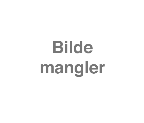 Mangler.png